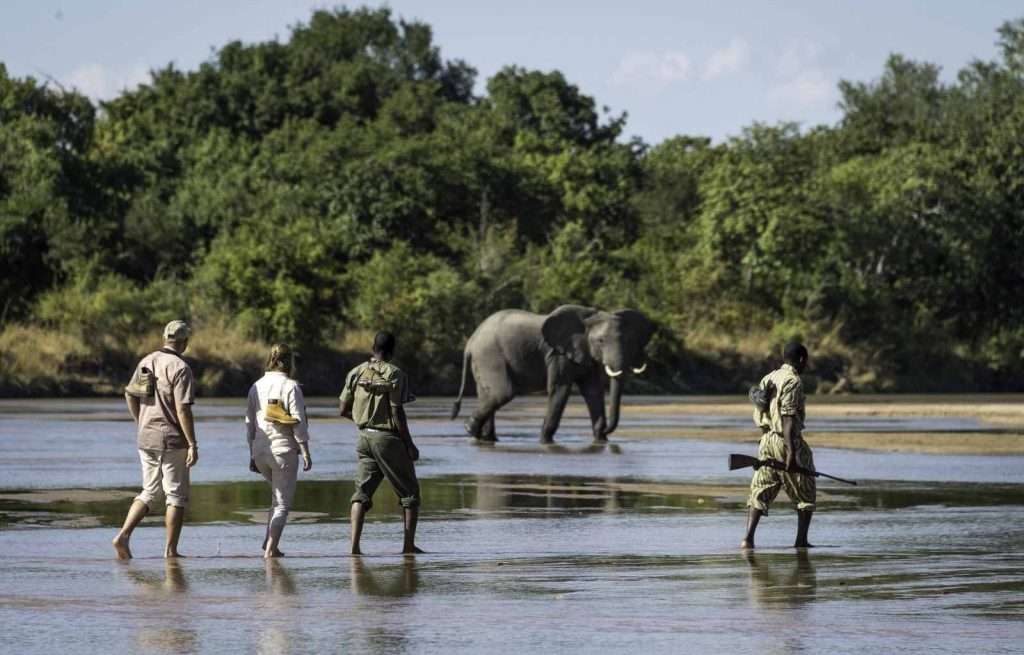 Tourists on a Safari walk
