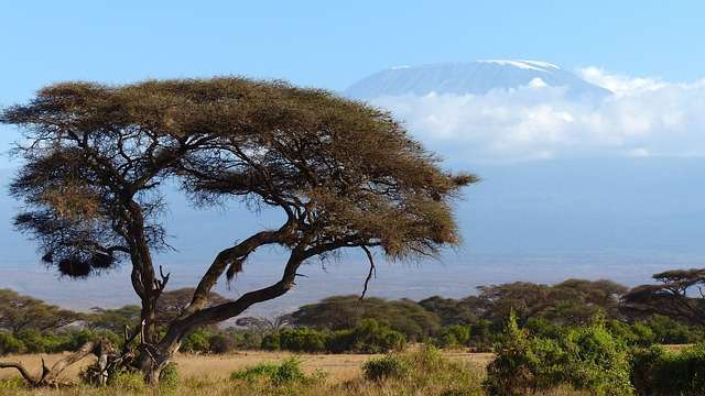 4 Day Kilimanjaro Hike, Serengeti &Ngorongoro