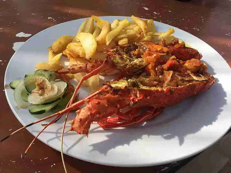 Lobster at the beach