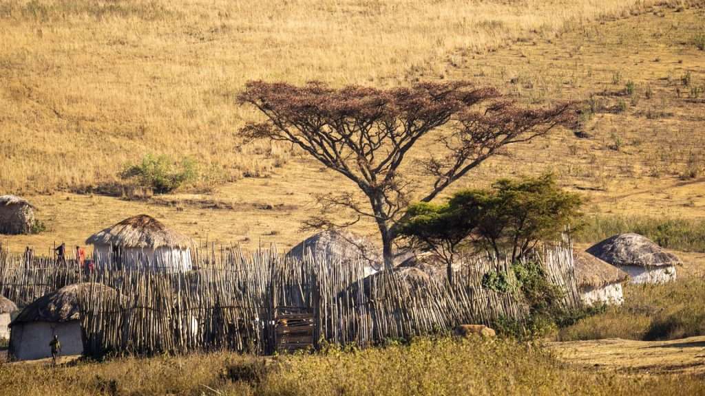 The Best New Luxury Safari Camps of 2024