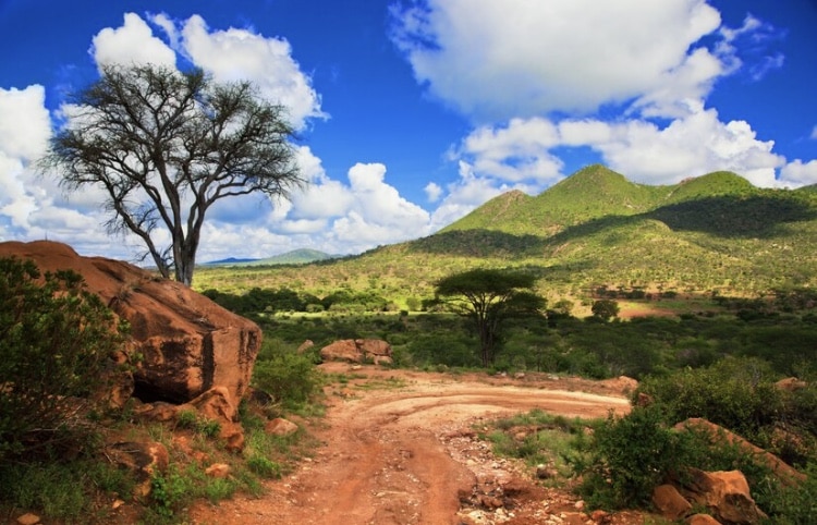 Get In Touch With Your Wild Side: A Tanzanian Adventure