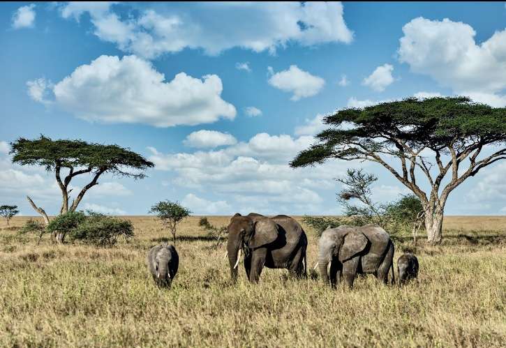 Get In Touch With Your Wild Side: A Tanzanian Adventure