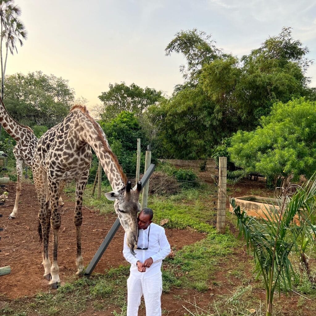 Explore with Eve - Giraffe Feeding