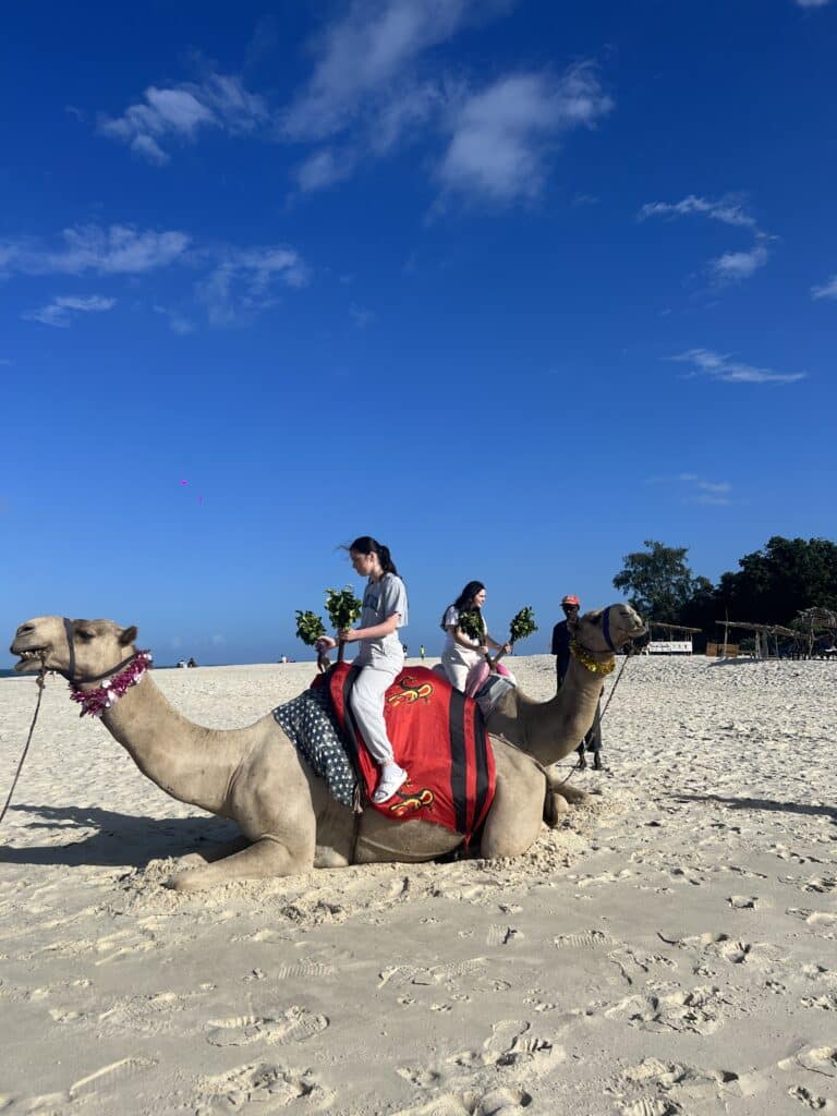 Explore with Eve - Beach Camel Ride