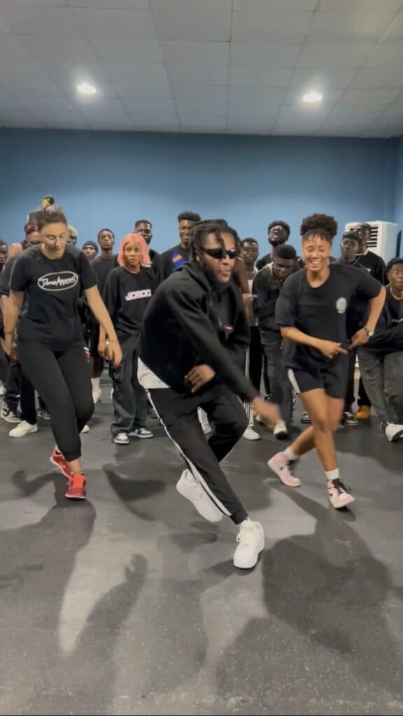 Snap Berry Three Days Afrozonto Dance Lessons