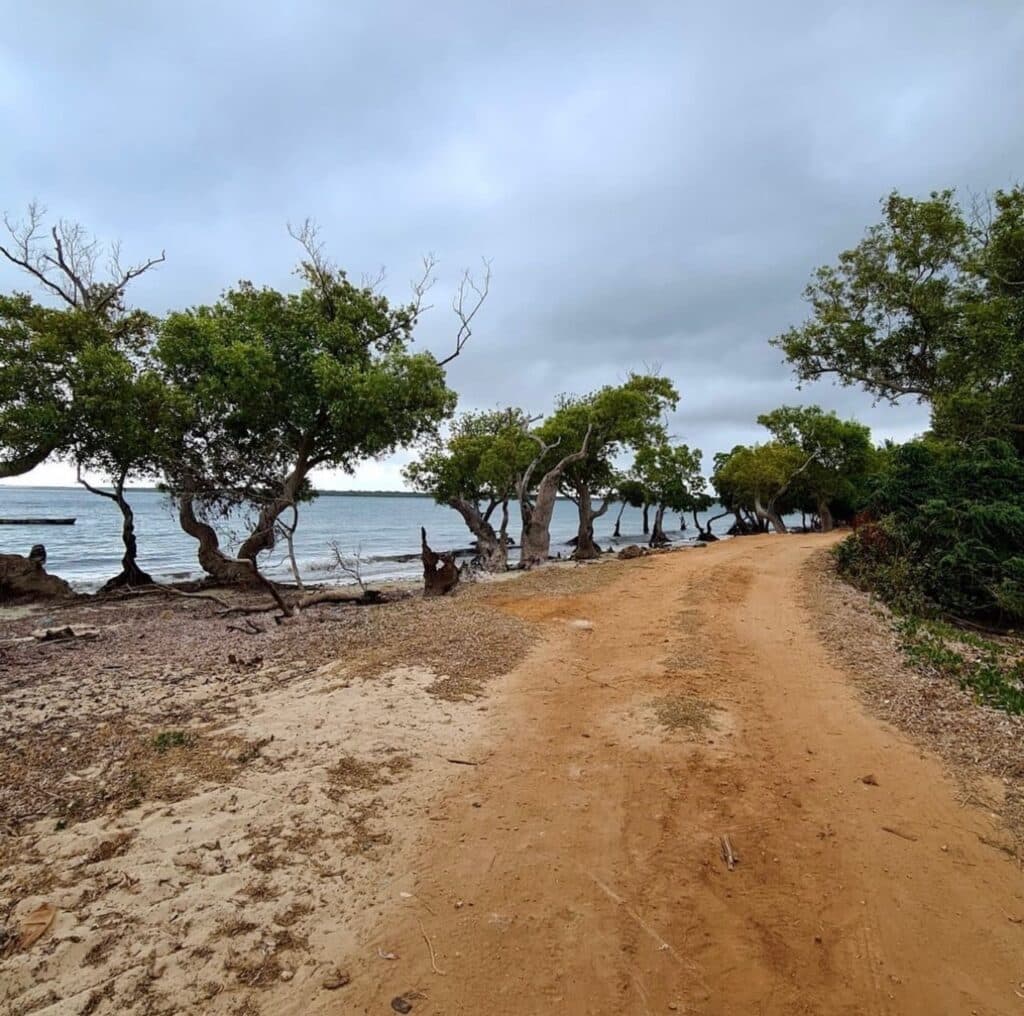 Diani Village Tour