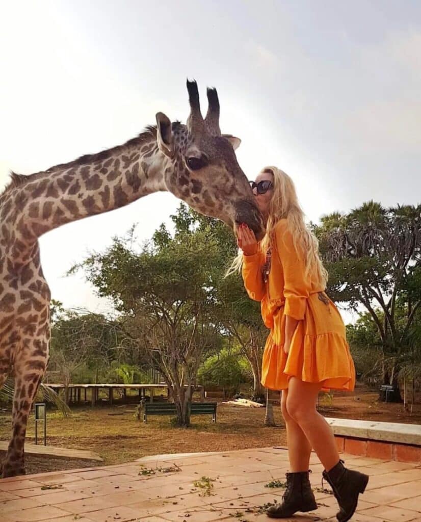 Explore with Eve - Giraffe Feeding