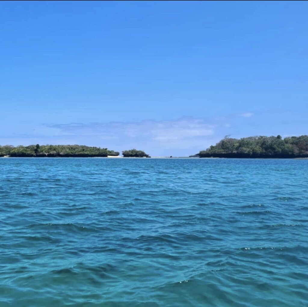 Explore with Eve - Snorkel With Dolphins at Wasini Island