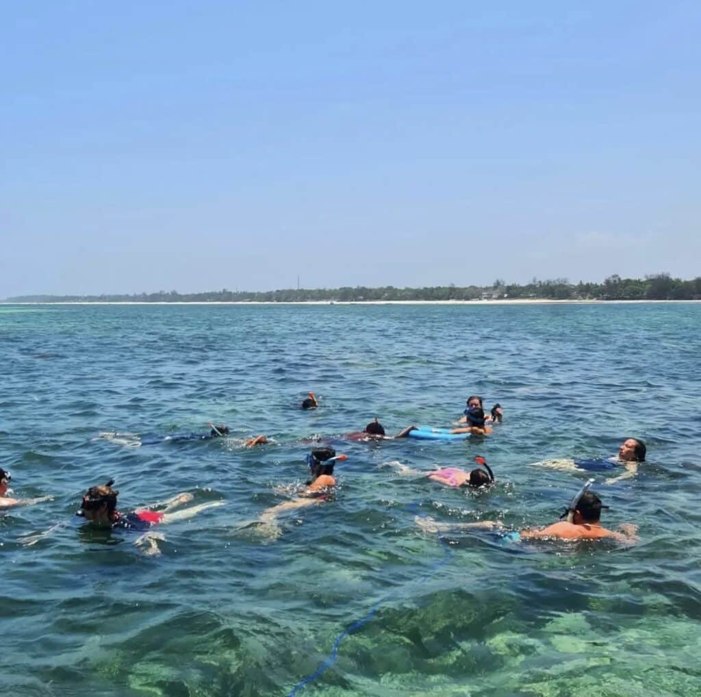 Explore with Eve - Snorkelling at Robinson's Island