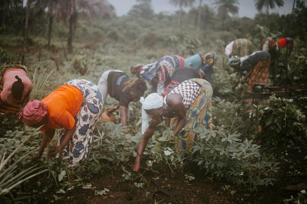 Women working on a farm