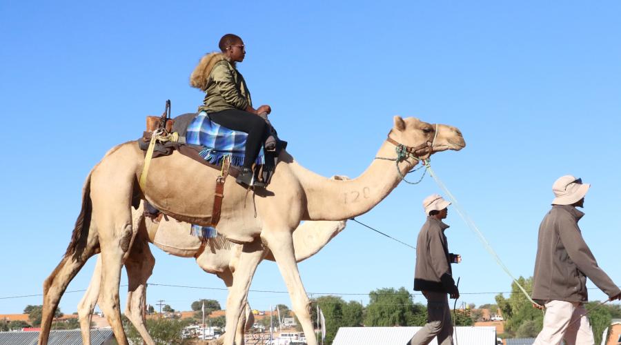 Tourits enjoying the camel trek