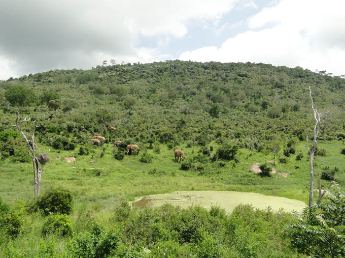 Mwaluganje Elephant Sanctuary 2