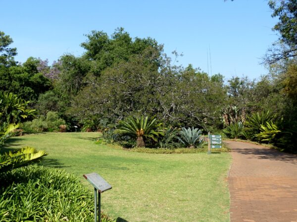 Pretoria National Botanical Gardens