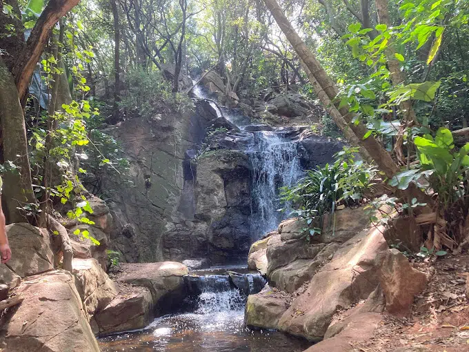 Pretoria National Botanical Gardens