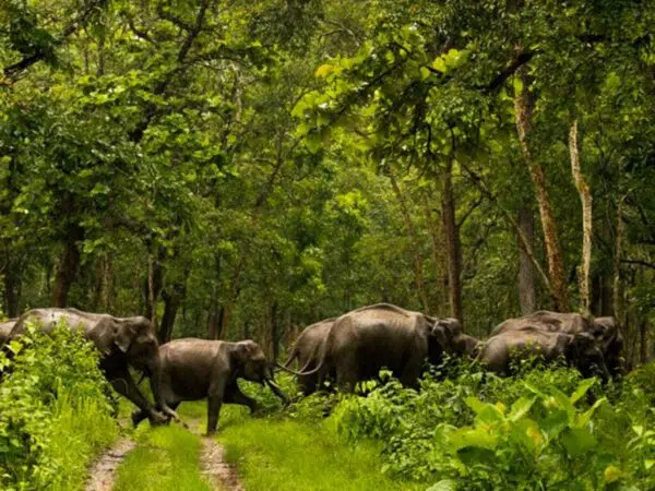 Shimba Hills National Reserve