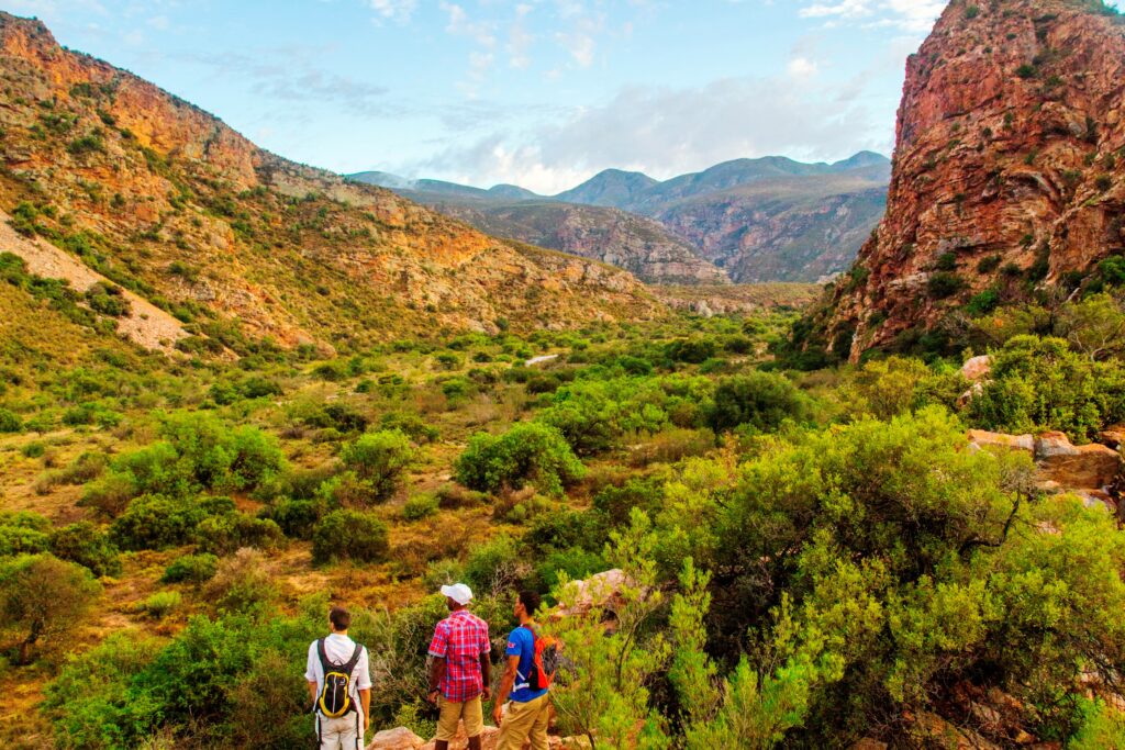 Exploring the Best Hiking Trails in South Africa 2024