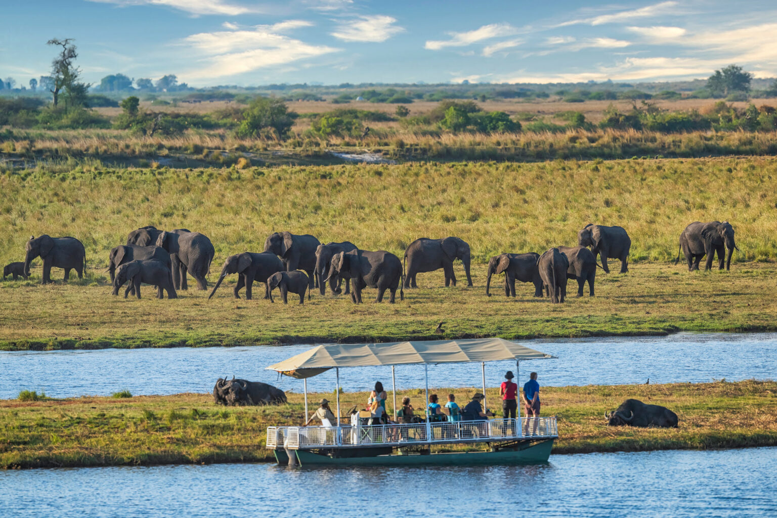 Your Guide to the Best Botswana Adventure