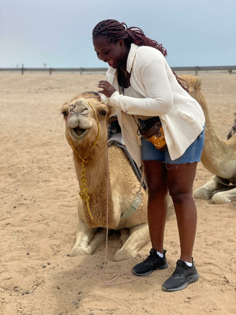 camel ride.jpg