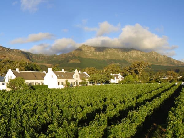 Cape Town Wine Tours